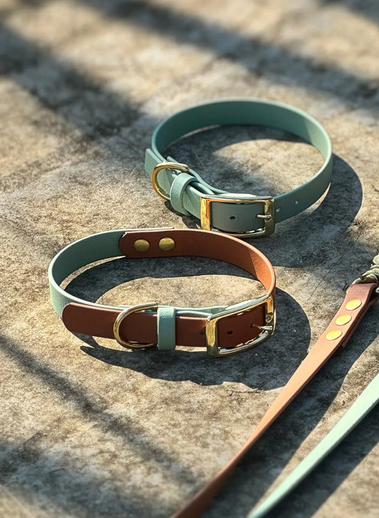 Obroża z Biothane dla psa z klamrą, Szałwia i jasny brąz