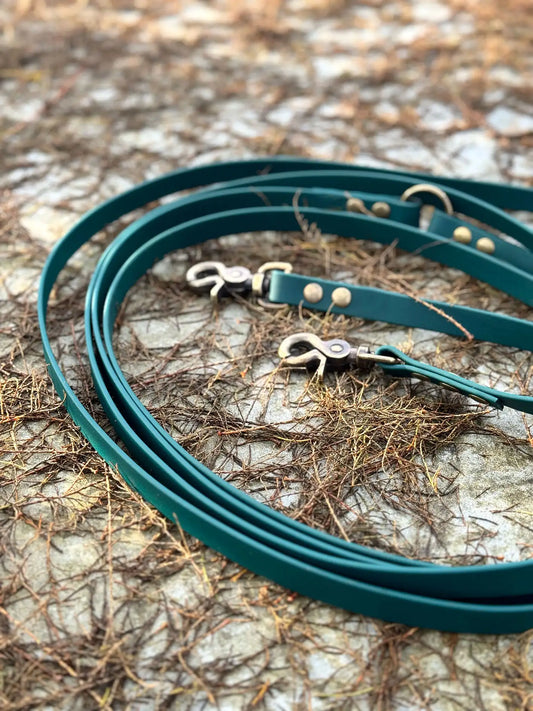 Green biothane dog leash with gold hardware on a white background zielona smycz z biothane hands-free idealna na spacer HOPSA