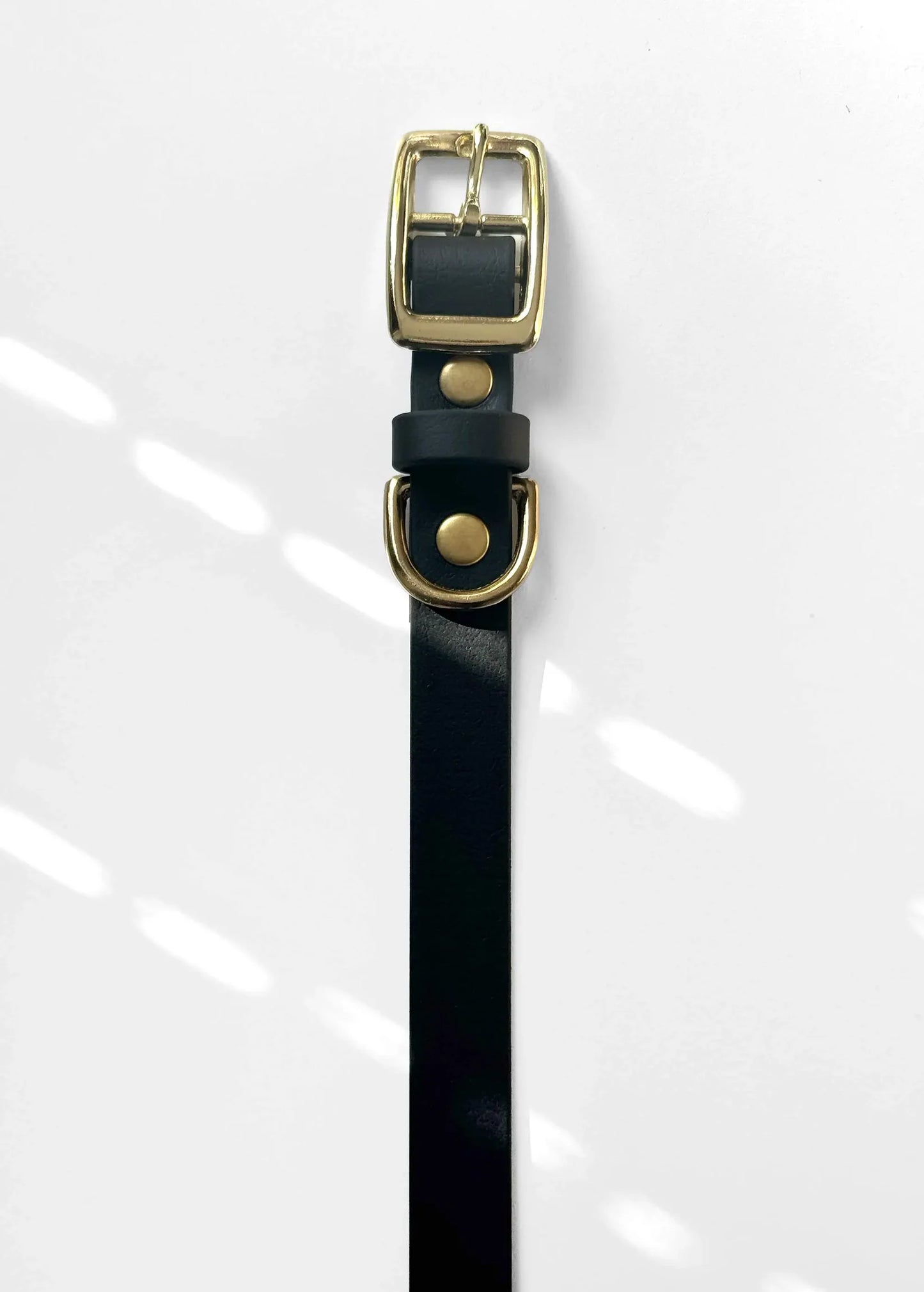 Obroża z Biothane z klamrą, Czarna, 19 mm, 33-39 cm