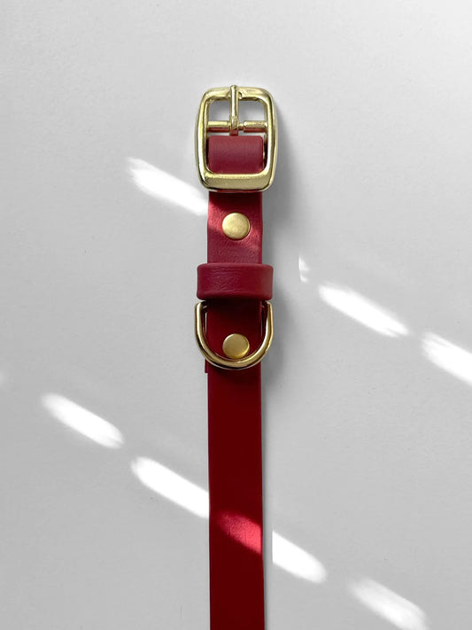 Obroża z Biothane dla psa z klamrą, Czerwona