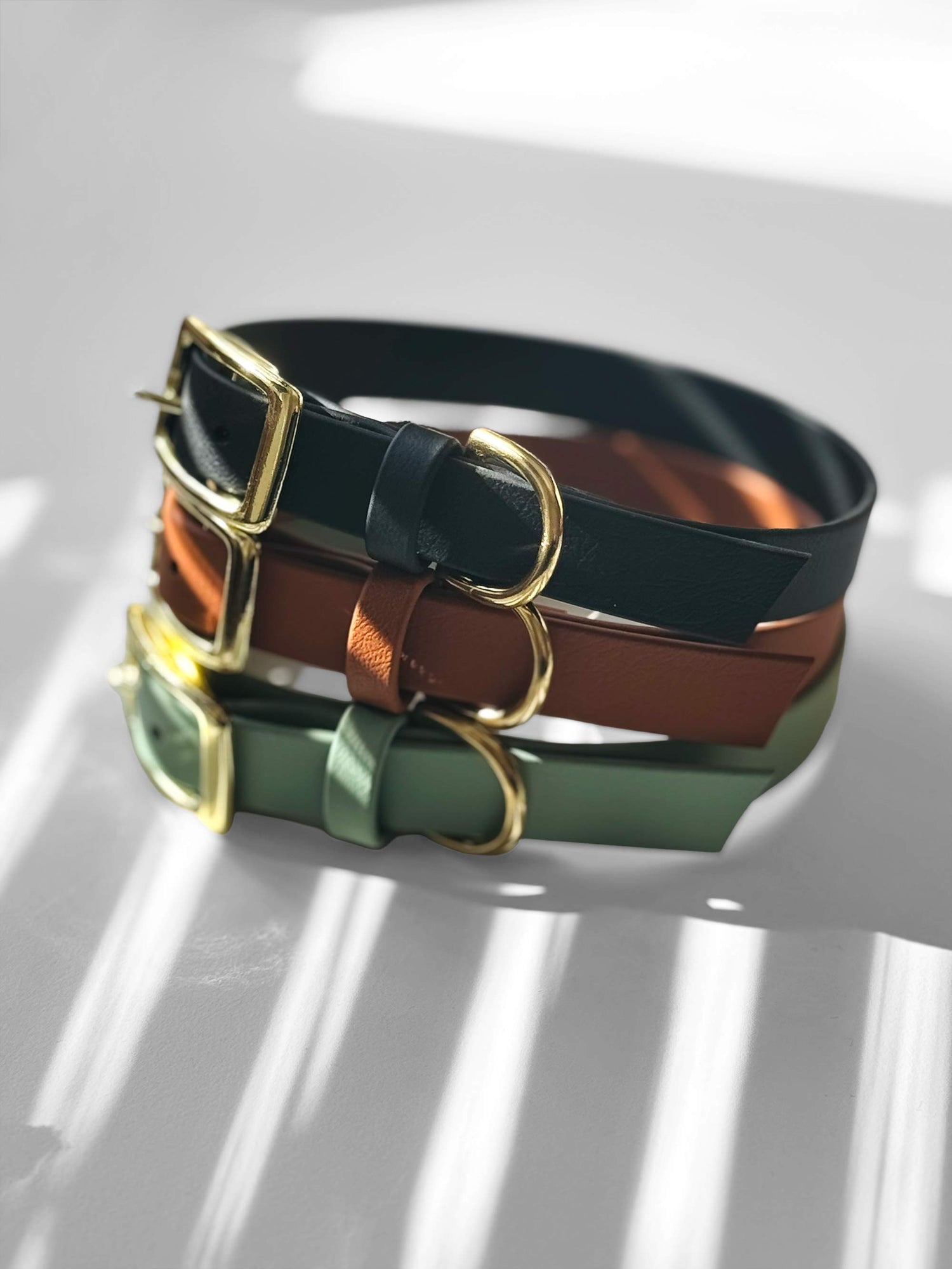 Obroże BioThane® z klamrą