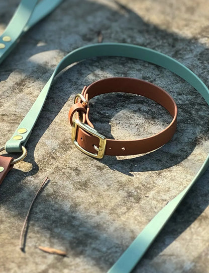 Obroża z Biothane dla psa z klamrą, Jasny brąz