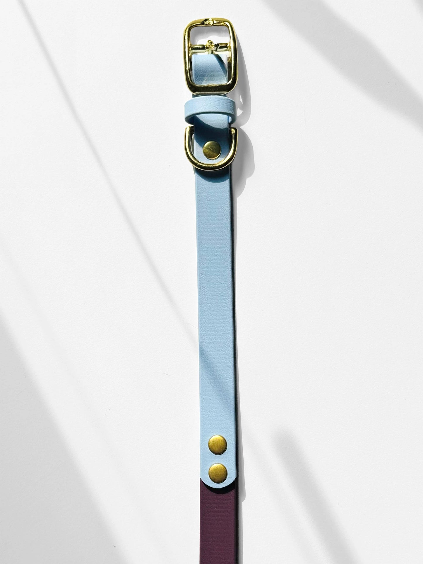 Obroża z Biothane z klamrą, Błękit i Fiolet, 19mm, 33.5-39.5 cm