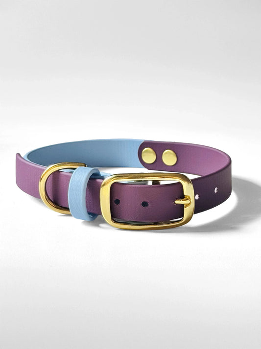 Obroża z Biothane dla psa z klamrą, Błękit i fiolet