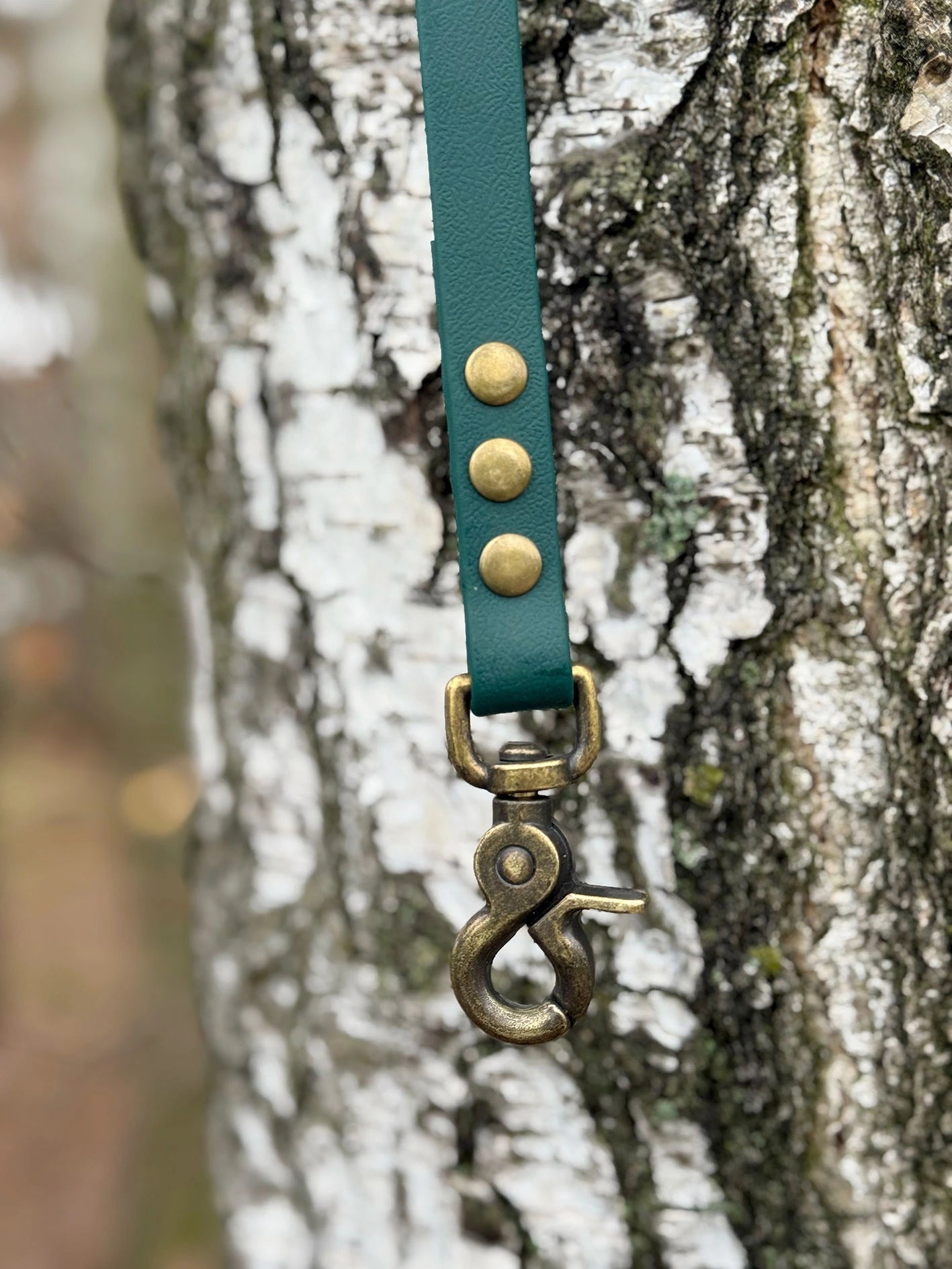 Smycz BioThane® Classic Zielona