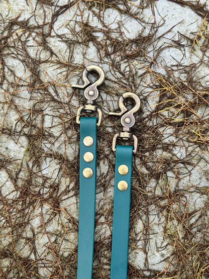 Green biothane dog leash with gold hardware on a white background zielona  smycz z biothane hands-free idealna na spacer HOPSA