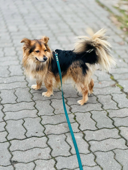 Smycz BioThane® Classic Zielona