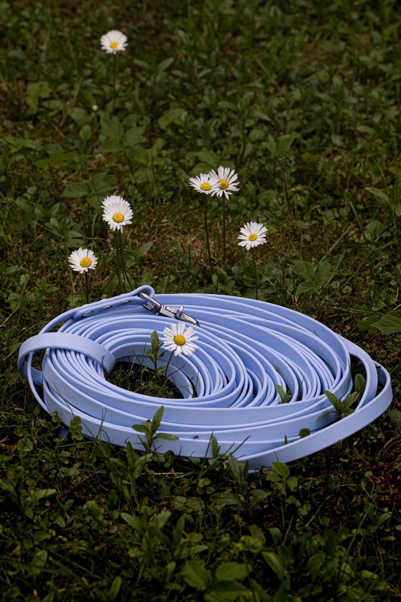 Linka treningowa z Biothane®