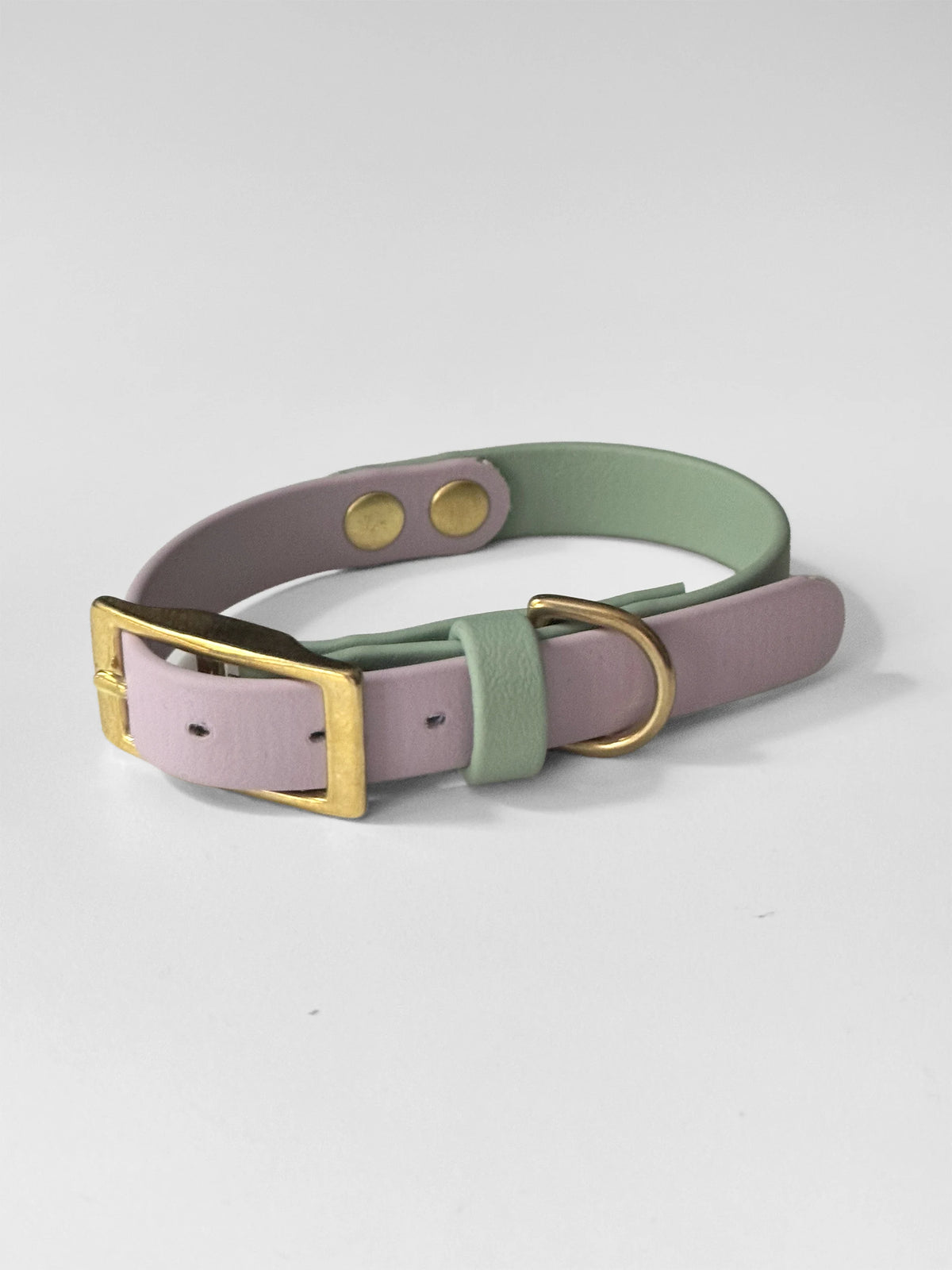 Obroża z Biothane z klamrą, dwukolorowa, Szałwiowy i pastelowy fiolet,  16 mm, 23 cm - 29 cm (Copy)