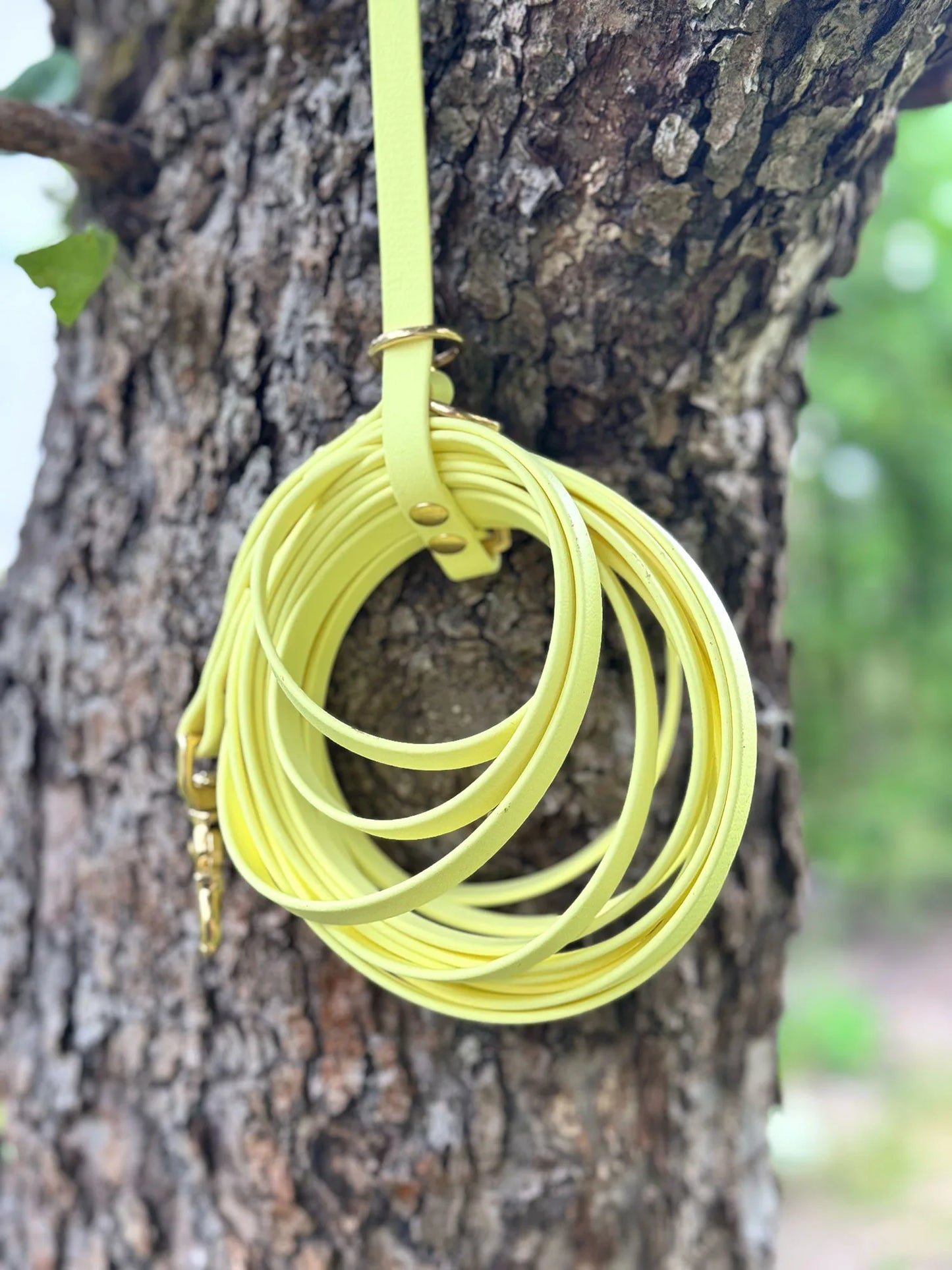 Linka treningowa z Biothane®