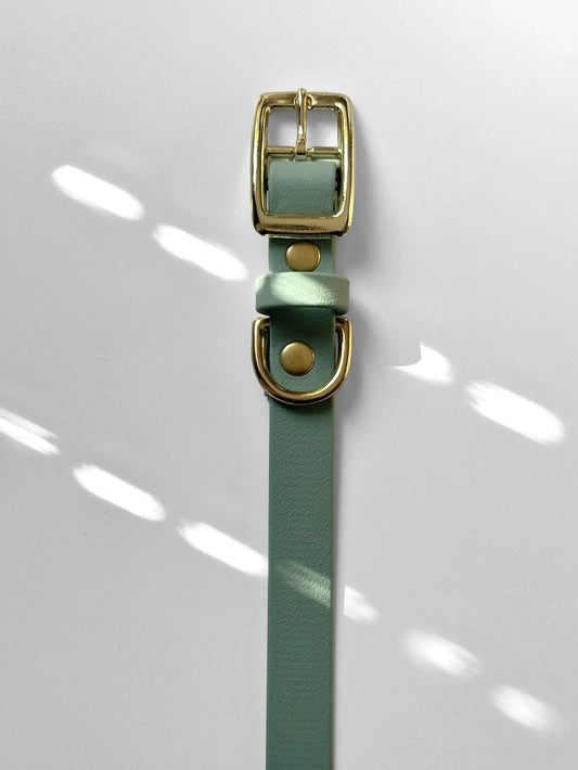 Obroża z Biothane z klamrą, Szałwia, 19mm, 33-39 cm