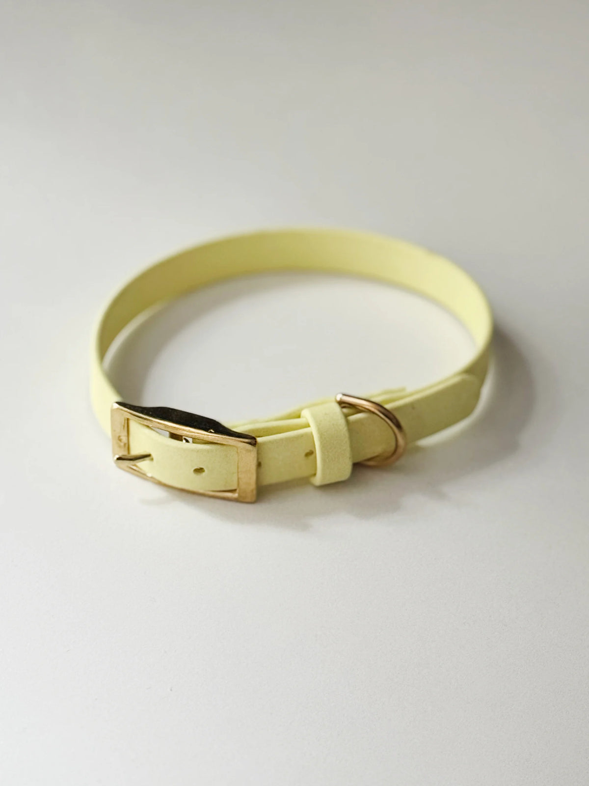 Obroża z Biothane z klamrą, Pastelowy żółty, 16 mm, 31 cm - 37 cm